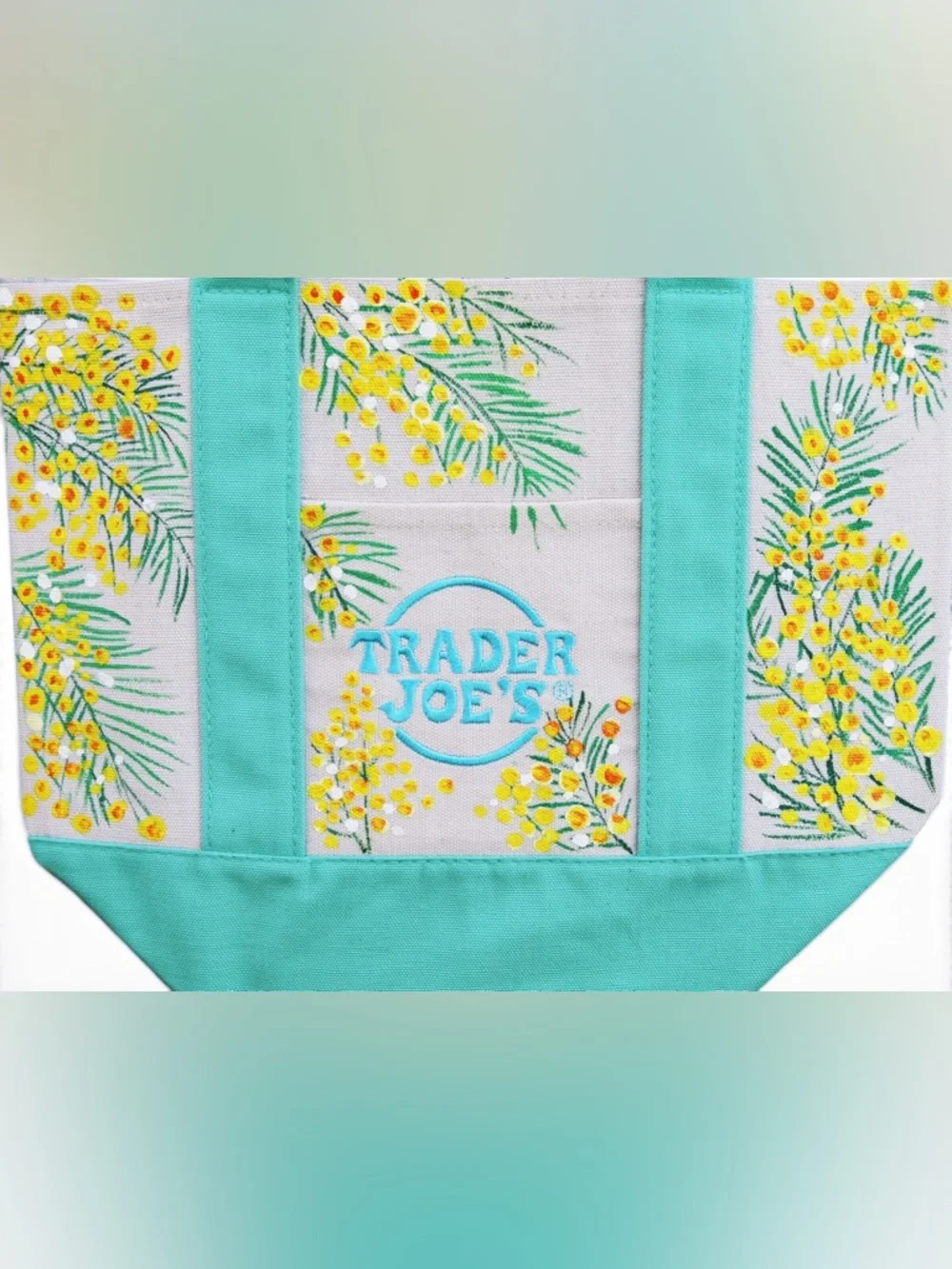 Hand Painted Trader Joe’s Mini‎ Pastel Canvas Tote Bag Mimosa Floral Teal Green